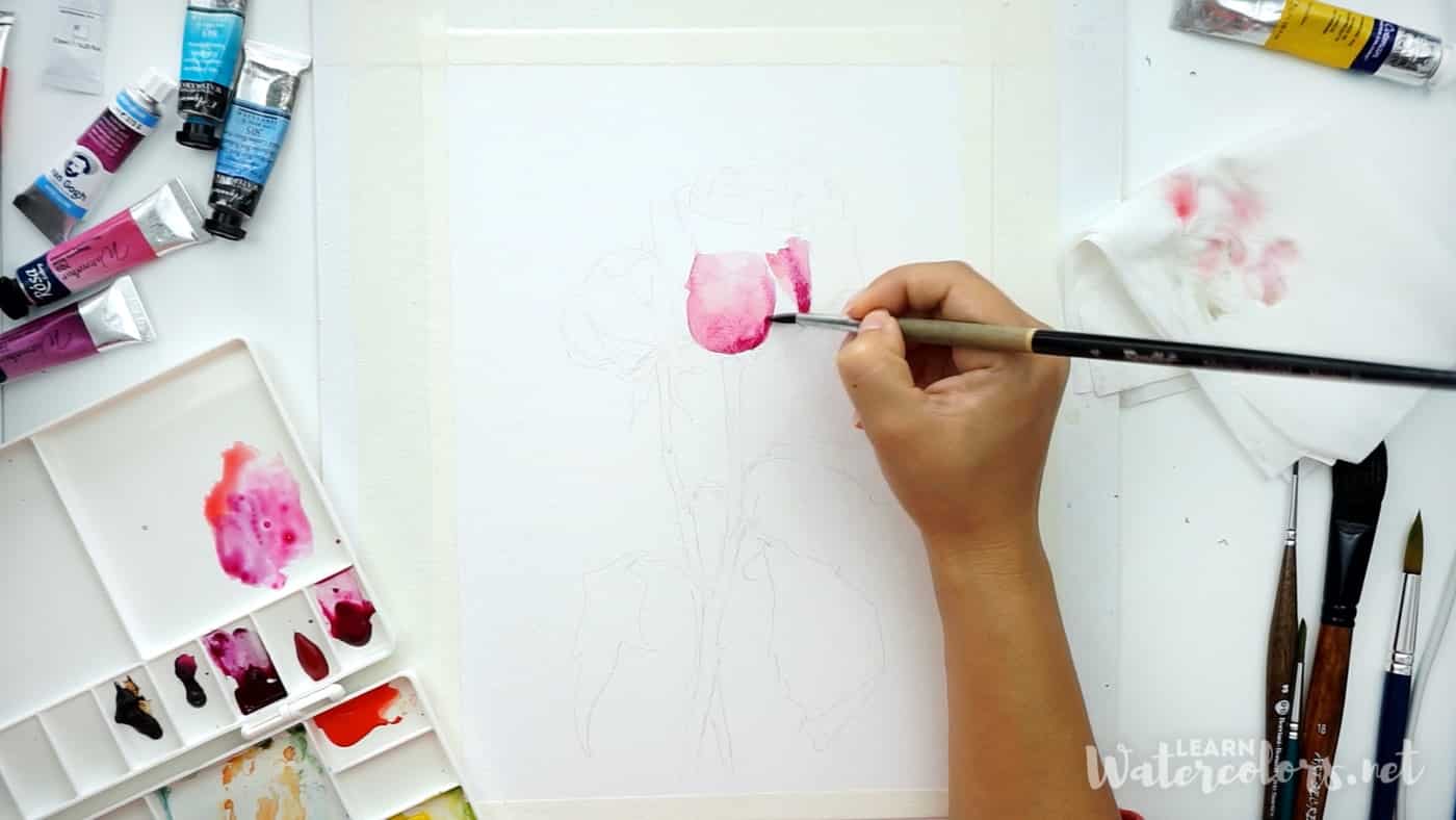 Watercolor flowers: How to paint a pink rose step by step for beginners 3