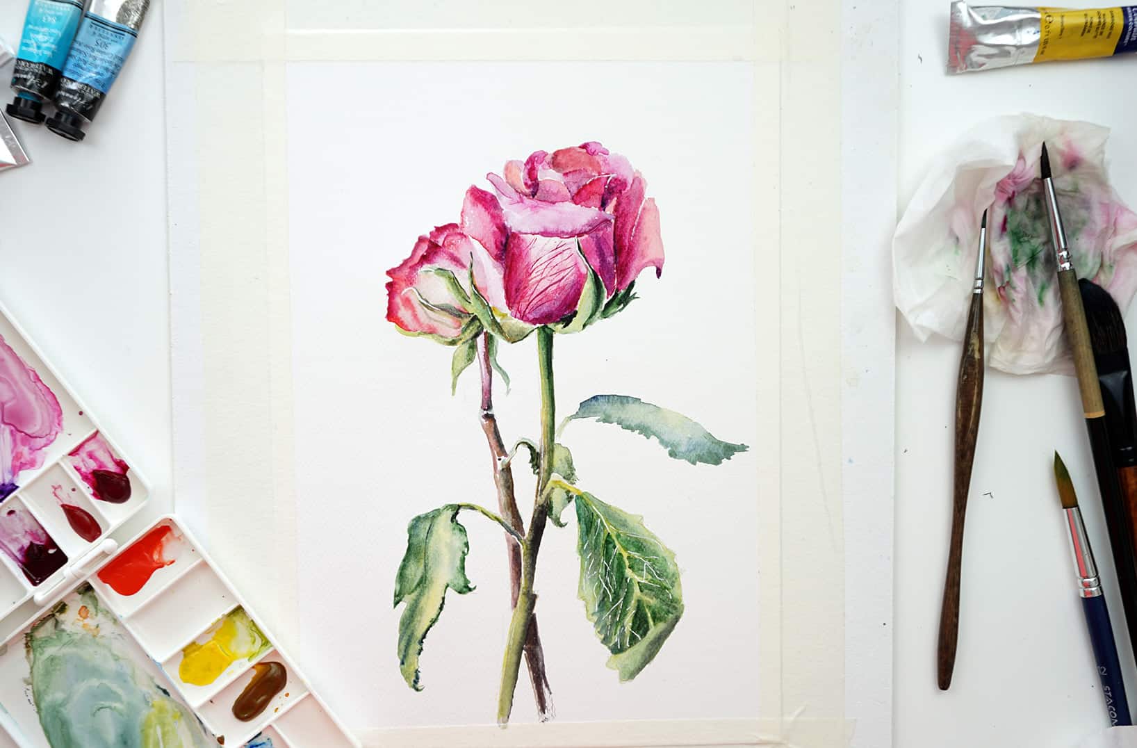 Watercolor flowers Paint a rose step by step for beginner