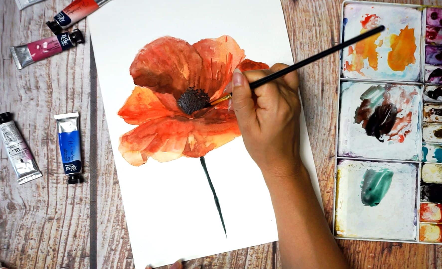 Paint a poppy flower with watercolor step by step 15