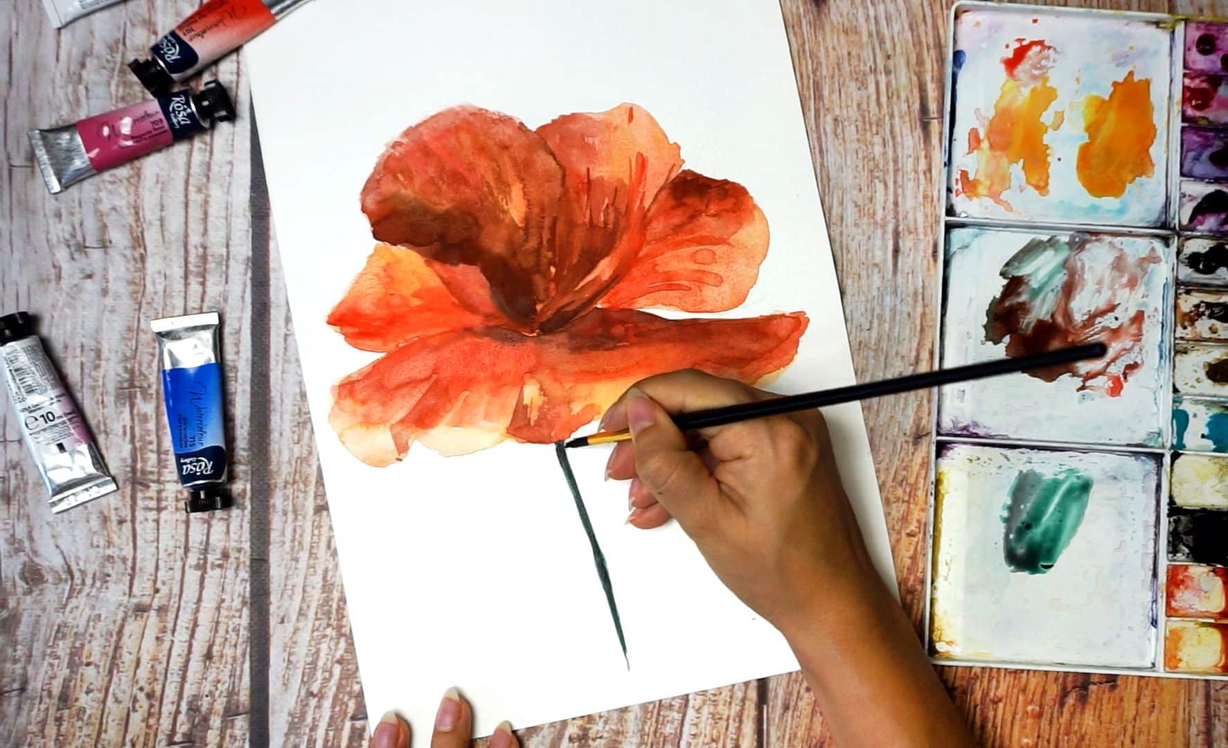 Paint a poppy flower with watercolor step by step 14