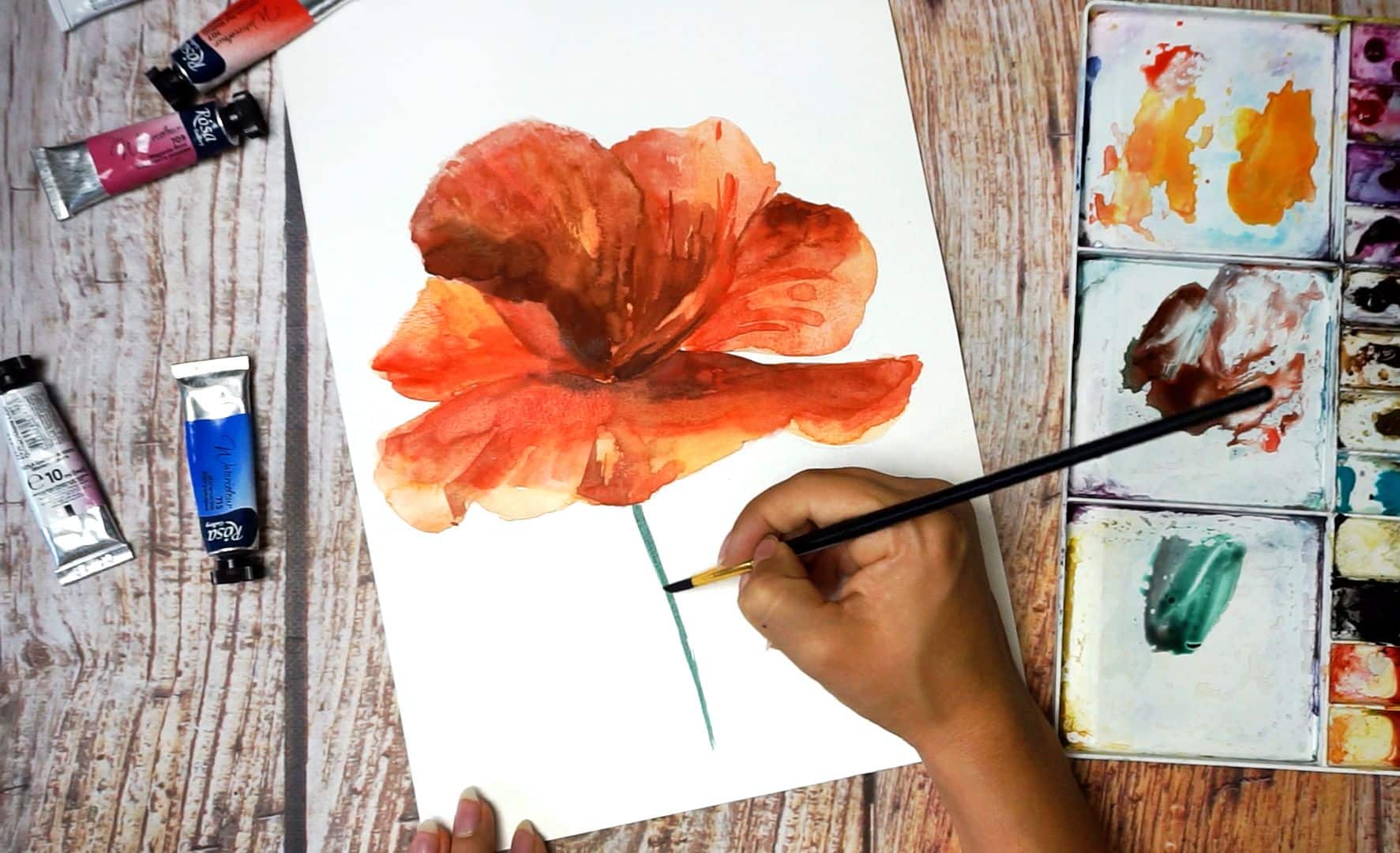 Paint a poppy flower with watercolor step by step 13